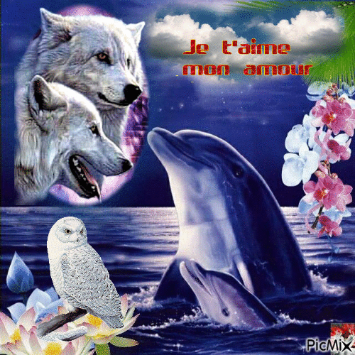 je t'aime mon amour